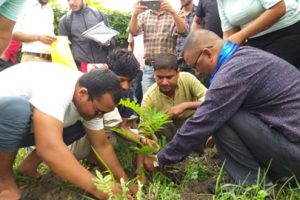 जिपि कोईरालाको ९६ औँ जन्मजयन्तीमा सुकुनामा बृक्षारोपण